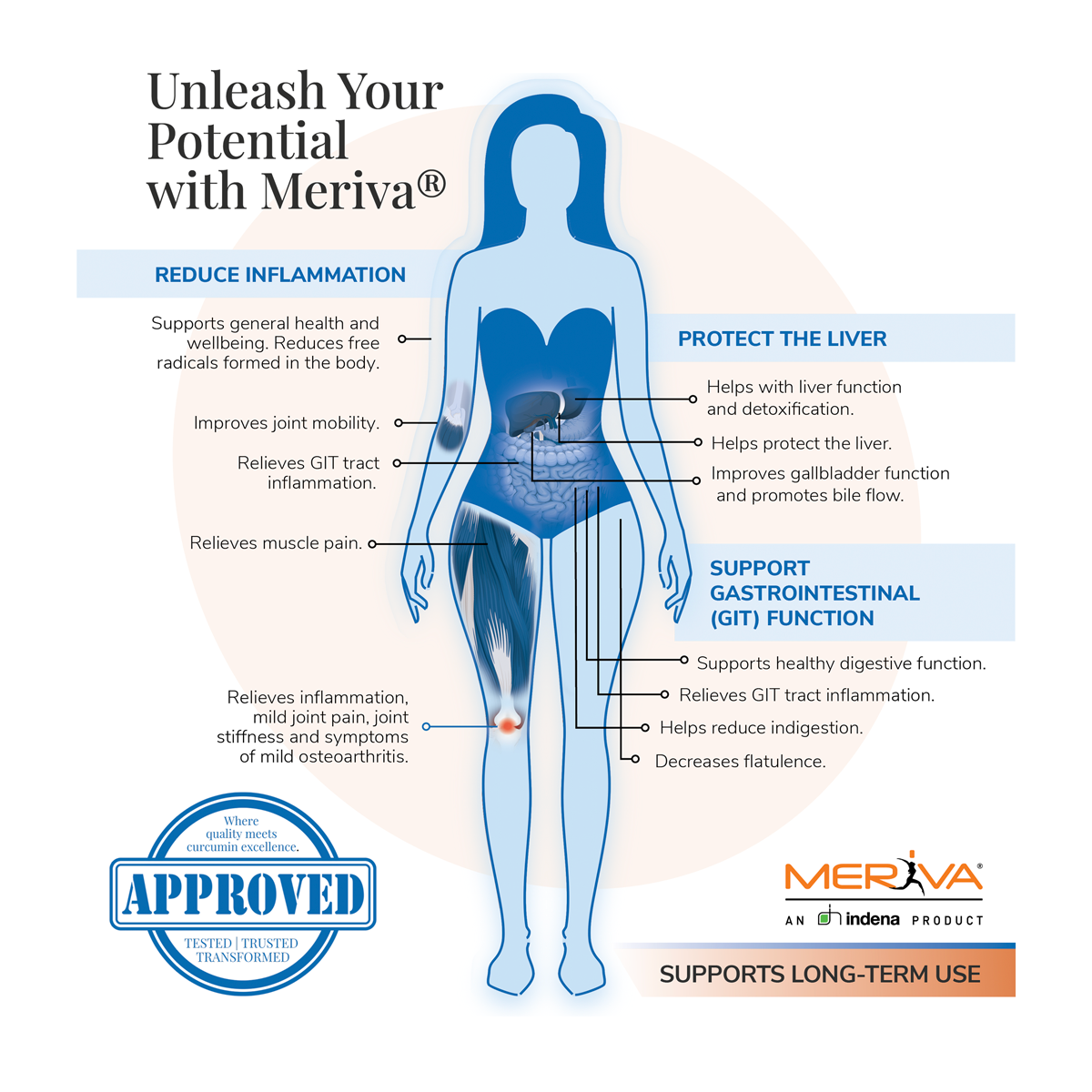 Curcuma Phospholipids