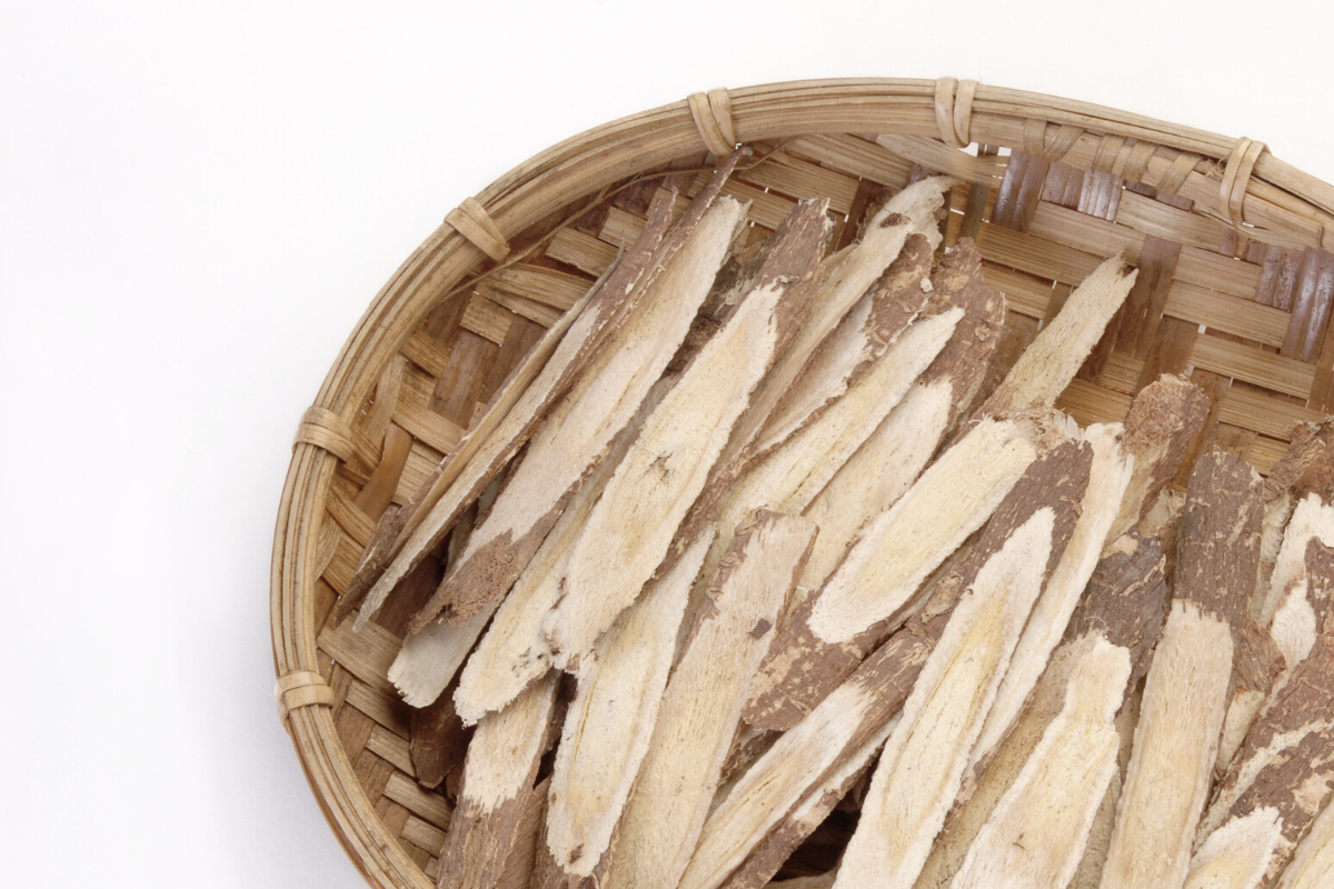 Unlocking the Immune-Boosting Power of Astragalus Membranaceus