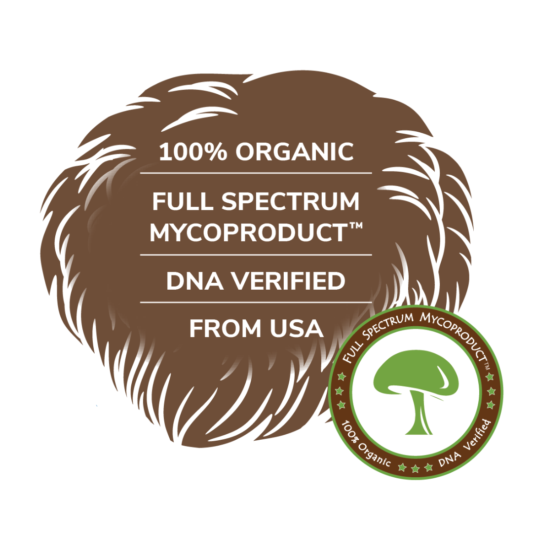 Lion’s Mane Premium Organic